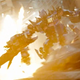 Image for article titled Transformers 3 screencaps